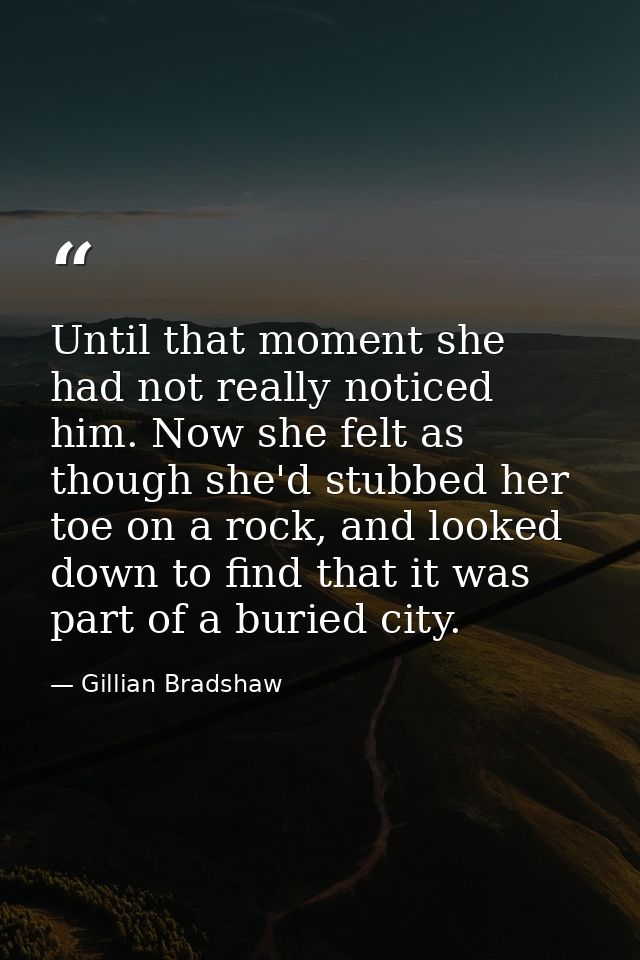 Until that moment she had not really noticed him. Now she felt as though she'd stubbed her toe on a rock, and looked dow — Gillian Bradshaw