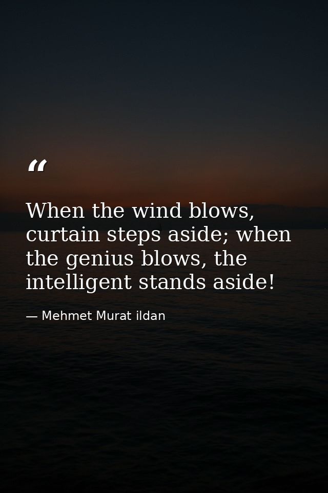 When the wind blows, curtain steps aside; when the genius blows, the intelligent stands aside! — Mehmet Murat ildan
