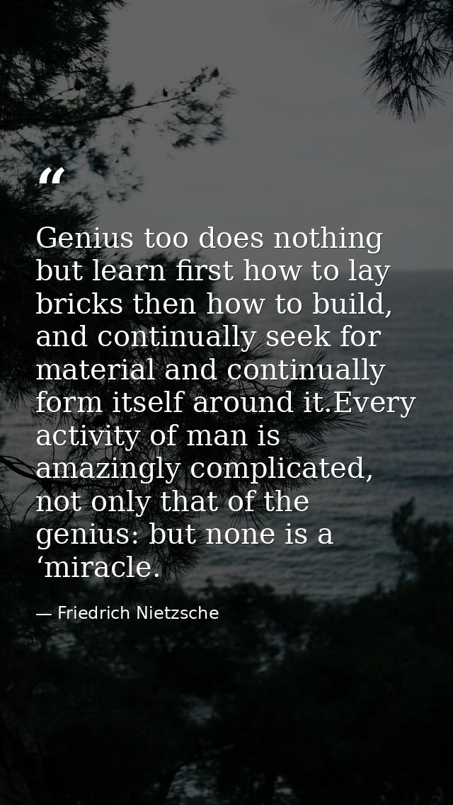 Genius too does nothing but learn first how to lay bricks then how to build, and continually seek for material and conti — Friedrich Nietzsche