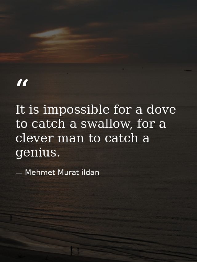 It is impossible for a dove to catch a swallow, for a clever man to catch a genius. — Mehmet Murat ildan
