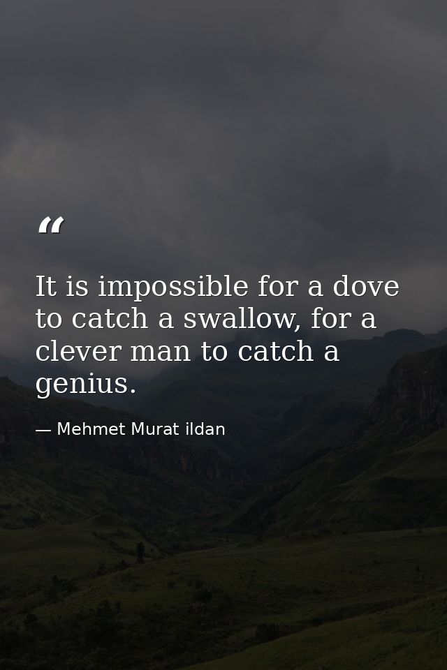It is impossible for a dove to catch a swallow, for a clever man to catch a genius. — Mehmet Murat ildan