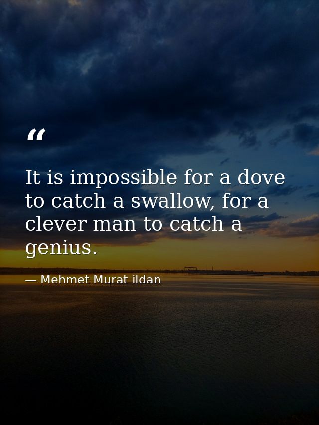 It is impossible for a dove to catch a swallow, for a clever man to catch a genius. — Mehmet Murat ildan