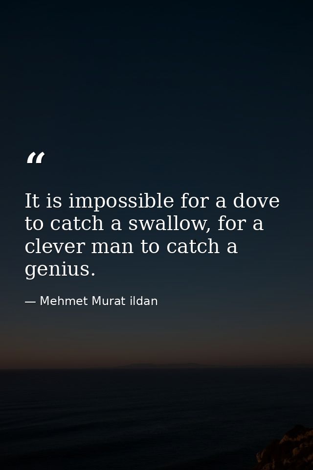 It is impossible for a dove to catch a swallow, for a clever man to catch a genius. — Mehmet Murat ildan