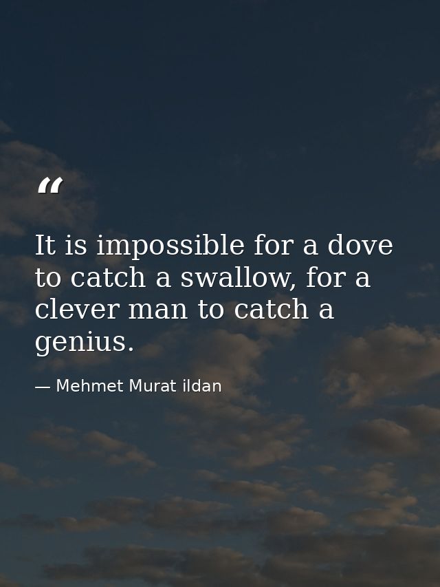 It is impossible for a dove to catch a swallow, for a clever man to catch a genius. — Mehmet Murat ildan