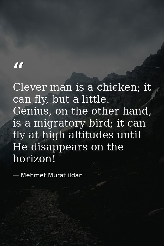 Clever man is a chicken; it can fly, but a little. Genius, on the other hand, is a migratory bird; it can fly at high al — Mehmet Murat ildan