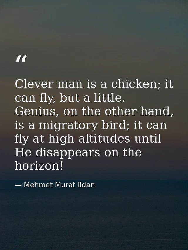 Clever man is a chicken; it can fly, but a little. Genius, on the other hand, is a migratory bird; it can fly at high al — Mehmet Murat ildan