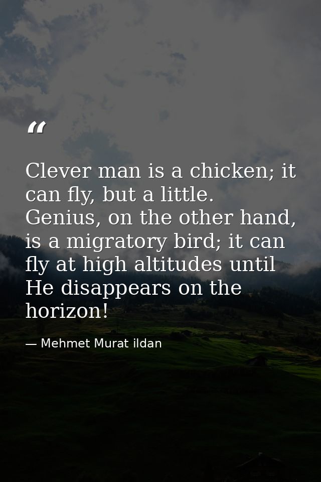 Clever man is a chicken; it can fly, but a little. Genius, on the other hand, is a migratory bird; it can fly at high al — Mehmet Murat ildan