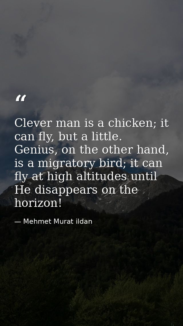 Clever man is a chicken; it can fly, but a little. Genius, on the other hand, is a migratory bird; it can fly at high al — Mehmet Murat ildan