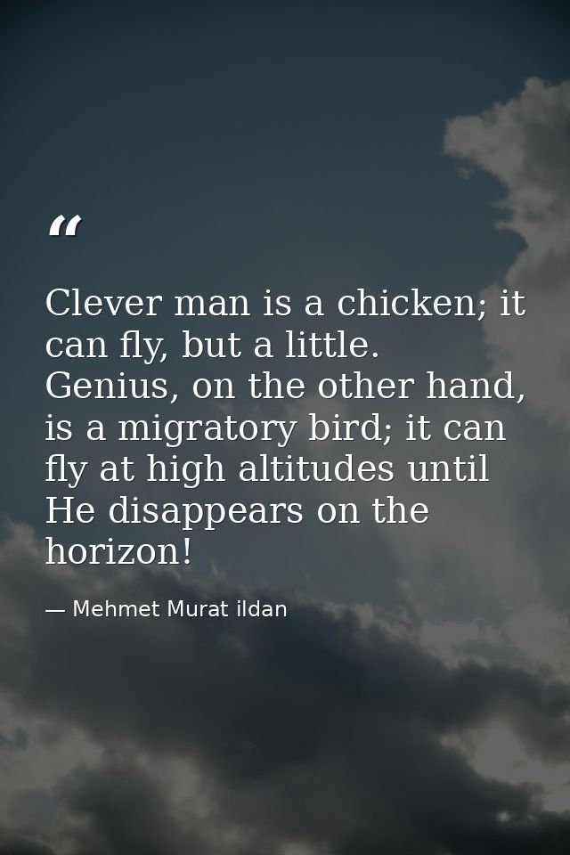 Clever man is a chicken; it can fly, but a little. Genius, on the other hand, is a migratory bird; it can fly at high al — Mehmet Murat ildan