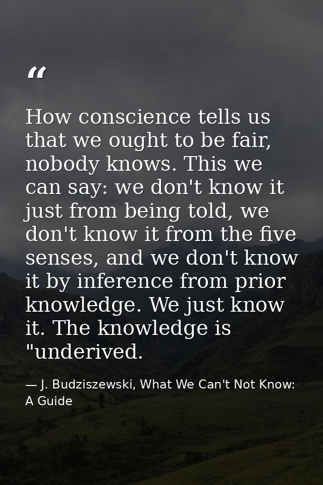 How conscience tells us that we ought to be fair, nobody knows. This we can say: we don't know it just from being told,  — J. Budziszewski, What We Can't Not Know: A Guide