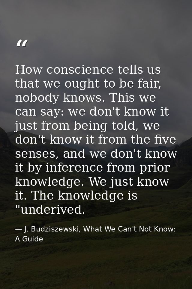 How conscience tells us that we ought to be fair, nobody knows. This we can say: we don't know it just from being told,  — J. Budziszewski, What We Can't Not Know: A Guide