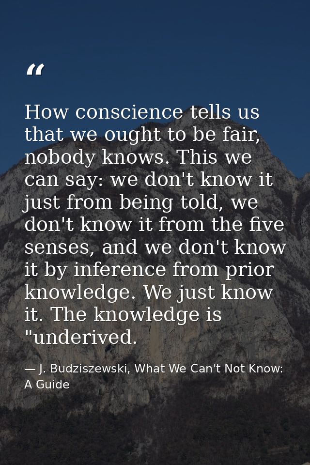 How conscience tells us that we ought to be fair, nobody knows. This we can say: we don't know it just from being told,  — J. Budziszewski, What We Can't Not Know: A Guide
