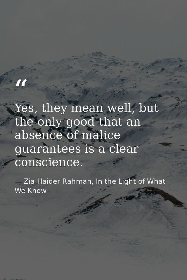 Yes, they mean well, but the only good that an absence of malice guarantees is a clear conscience. — Zia Haider Rahman, In the Light of What We Know