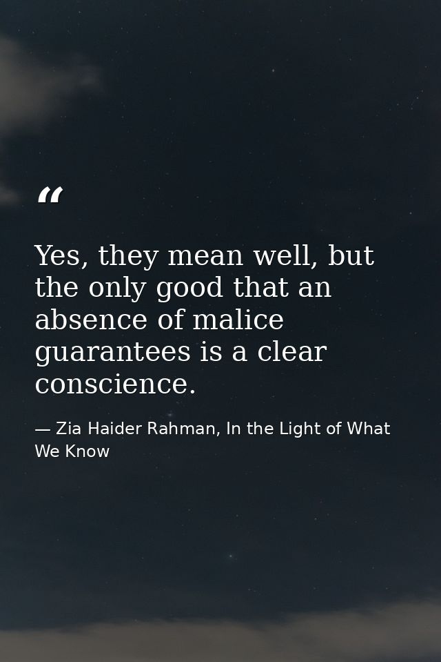 Yes, they mean well, but the only good that an absence of malice guarantees is a clear conscience. — Zia Haider Rahman, In the Light of What We Know