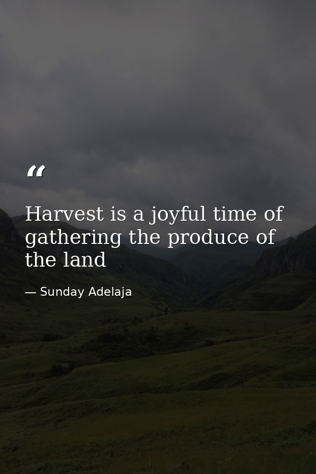 Harvest is a joyful time of gathering the produce of the land — Sunday Adelaja
