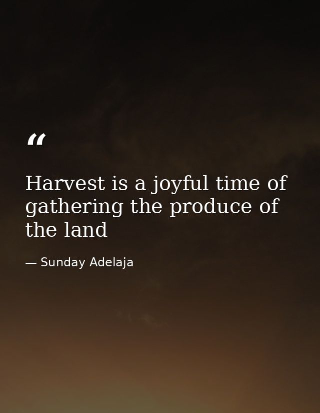 Harvest is a joyful time of gathering the produce of the land — Sunday Adelaja
