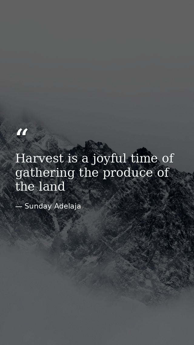 Harvest is a joyful time of gathering the produce of the land — Sunday Adelaja