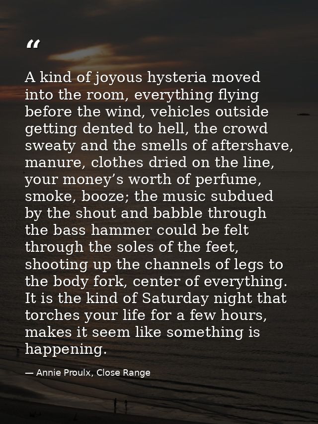 A kind of joyous hysteria moved into the room, everything flying before the wind, vehicles outside getting dented to hel — Annie Proulx, Close Range