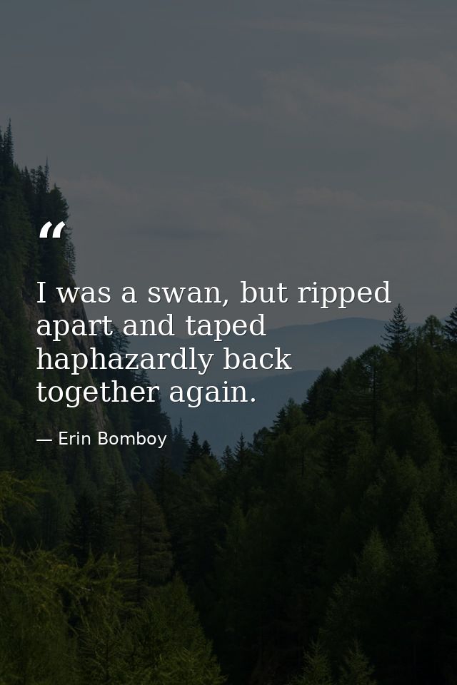 I was a swan, but ripped apart and taped haphazardly back together again. — Erin Bomboy