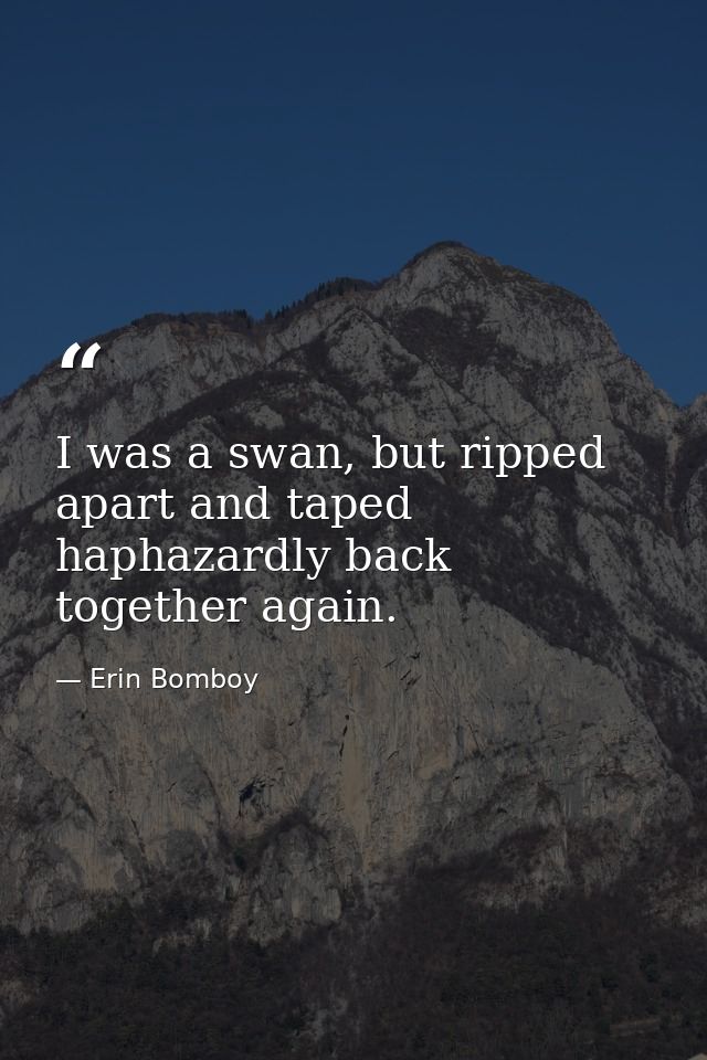 I was a swan, but ripped apart and taped haphazardly back together again. — Erin Bomboy
