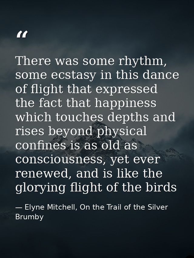 There was some rhythm, some ecstasy in this dance of flight that expressed the fact that happiness which touches depths  — Elyne Mitchell, On the Trail of the Silver Brumby
