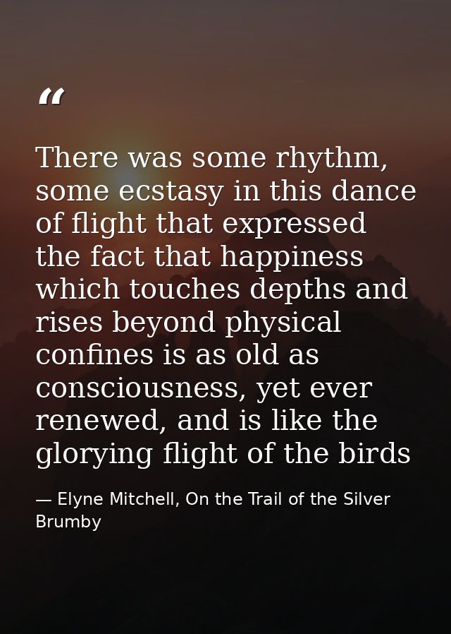There was some rhythm, some ecstasy in this dance of flight that expressed the fact that happiness which touches depths  — Elyne Mitchell, On the Trail of the Silver Brumby