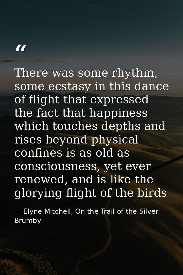 There was some rhythm, some ecstasy in this dance of flight that expressed the fact that happiness which touches depths  — Elyne Mitchell, On the Trail of the Silver Brumby