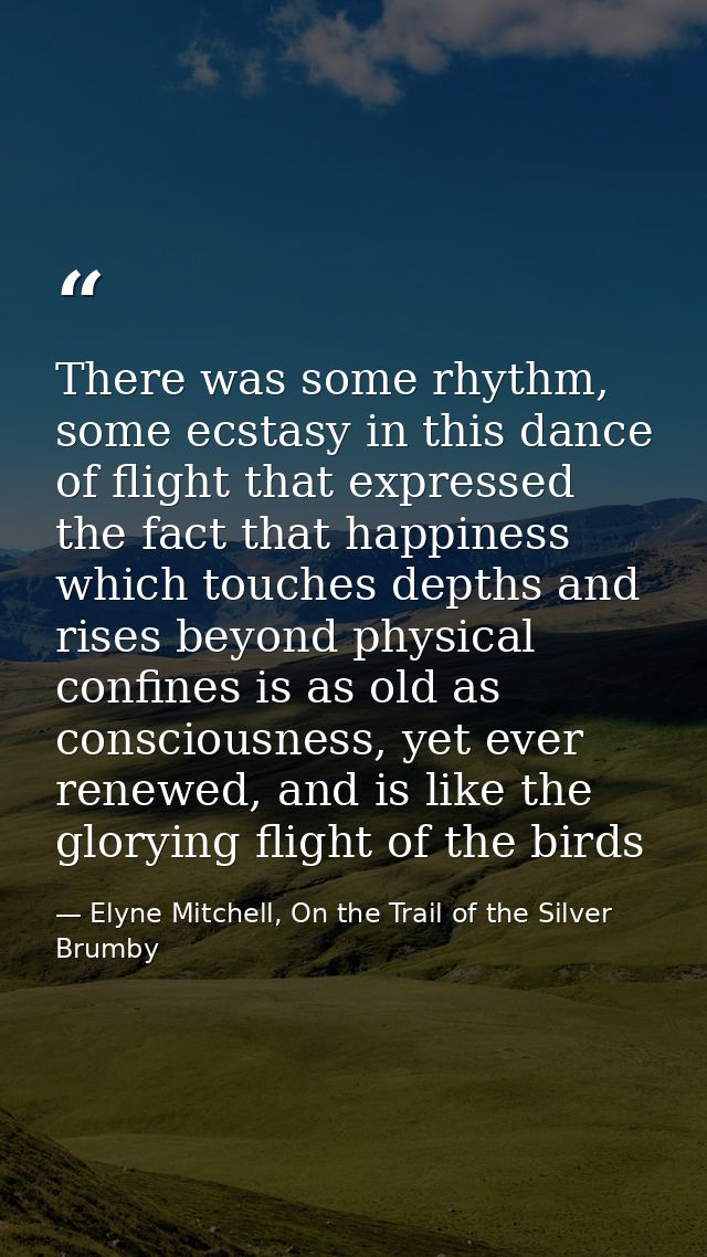 There was some rhythm, some ecstasy in this dance of flight that expressed the fact that happiness which touches depths  — Elyne Mitchell, On the Trail of the Silver Brumby
