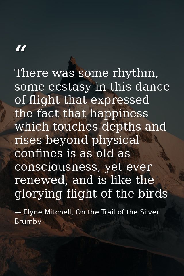 There was some rhythm, some ecstasy in this dance of flight that expressed the fact that happiness which touches depths  — Elyne Mitchell, On the Trail of the Silver Brumby