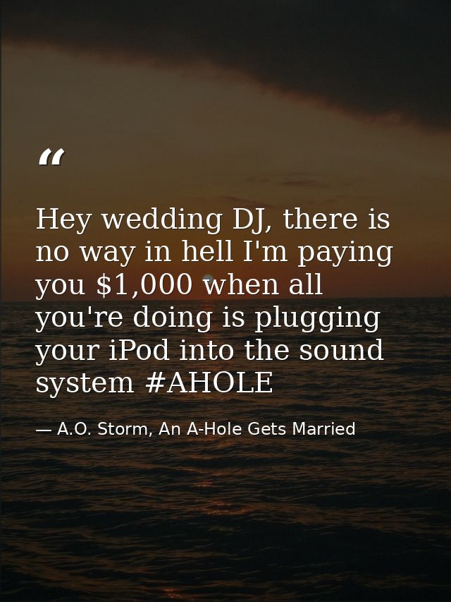 Hey wedding DJ, there is no way in hell I'm paying you $1,000 when all you're doing is plugging your iPod into the sound — A.O. Storm, An A-Hole Gets Married