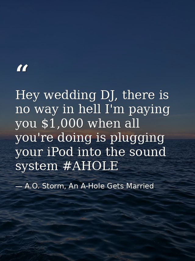 Hey wedding DJ, there is no way in hell I'm paying you $1,000 when all you're doing is plugging your iPod into the sound — A.O. Storm, An A-Hole Gets Married