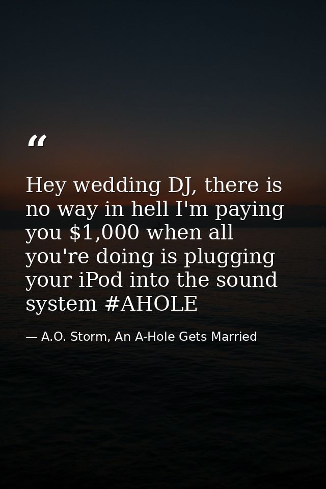 Hey wedding DJ, there is no way in hell I'm paying you $1,000 when all you're doing is plugging your iPod into the sound — A.O. Storm, An A-Hole Gets Married