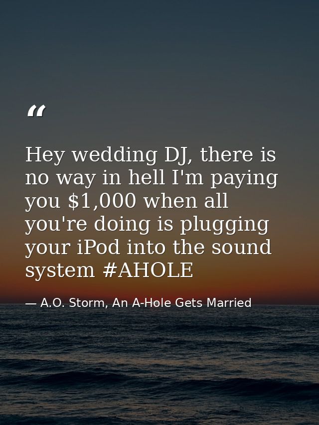 Hey wedding DJ, there is no way in hell I'm paying you $1,000 when all you're doing is plugging your iPod into the sound — A.O. Storm, An A-Hole Gets Married