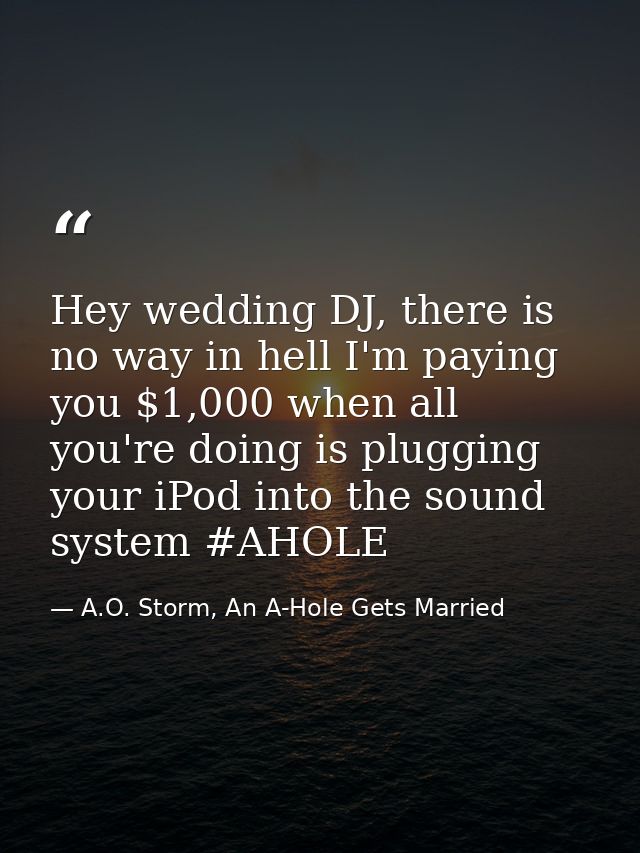 Hey wedding DJ, there is no way in hell I'm paying you $1,000 when all you're doing is plugging your iPod into the sound — A.O. Storm, An A-Hole Gets Married