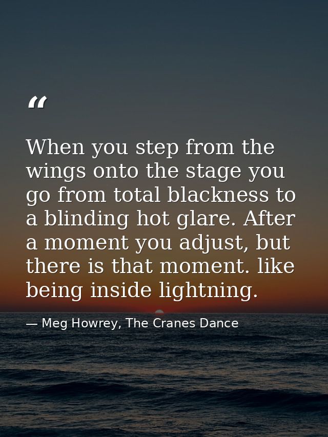 When you step from the wings onto the stage you go from total blackness to a blinding hot glare. After a moment you adju — Meg Howrey, The Cranes Dance