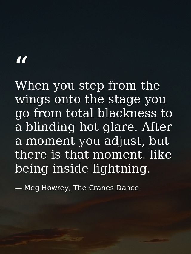 When you step from the wings onto the stage you go from total blackness to a blinding hot glare. After a moment you adju — Meg Howrey, The Cranes Dance