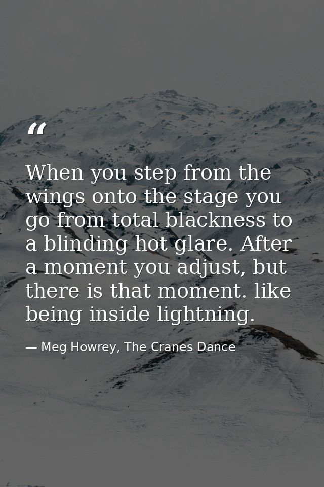 When you step from the wings onto the stage you go from total blackness to a blinding hot glare. After a moment you adju — Meg Howrey, The Cranes Dance