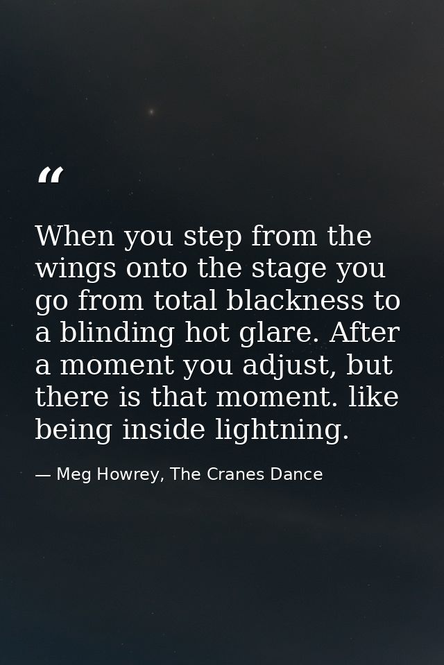 When you step from the wings onto the stage you go from total blackness to a blinding hot glare. After a moment you adju — Meg Howrey, The Cranes Dance