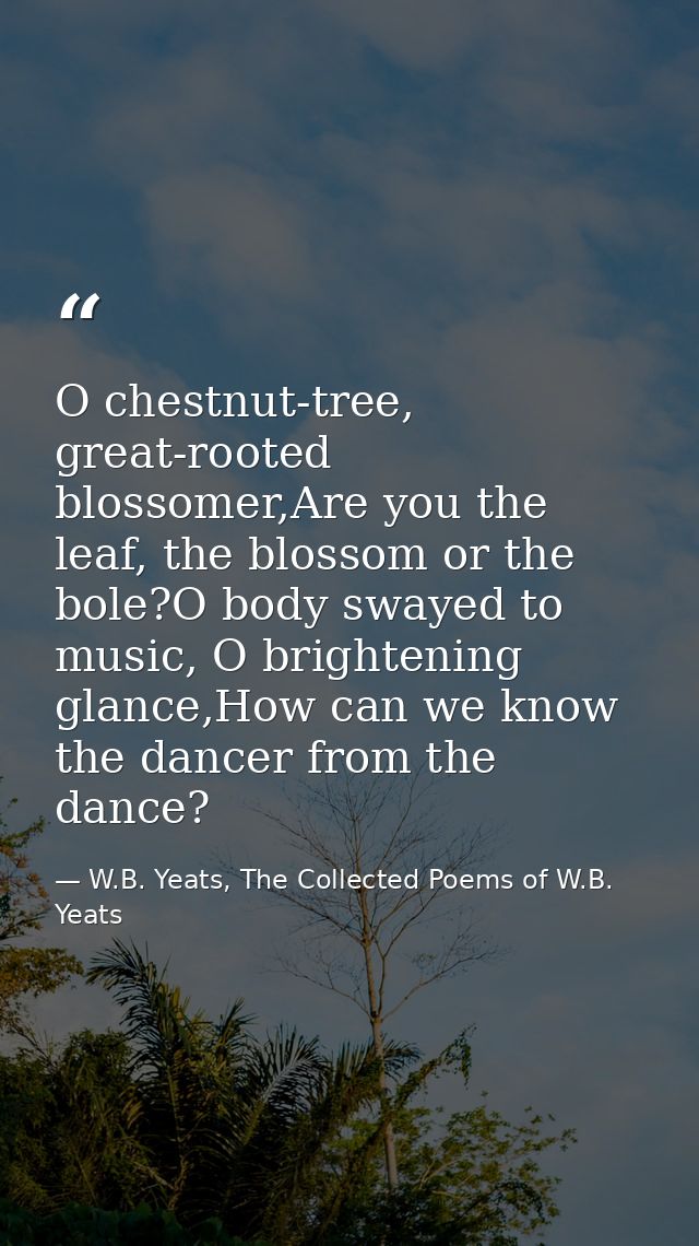 O chestnut-tree, great-rooted blossomer,Are you the leaf, the blossom or the bole?O body swayed to music, O brightening  — W.B. Yeats, The Collected Poems of W.B. Yeats