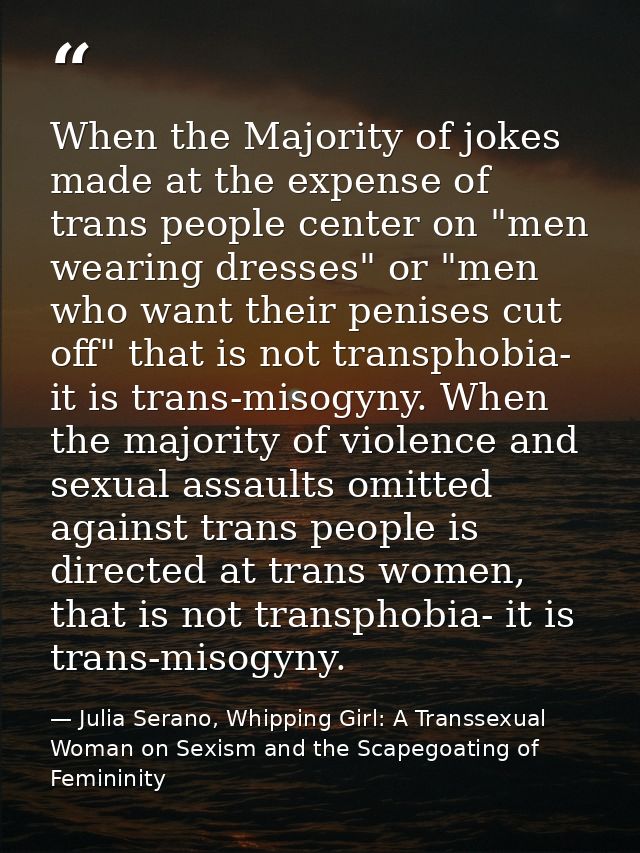 When the Majority of jokes made at the expense of trans people center on "men wearing dresses" or "men who want their pe — Julia Serano, Whipping Girl: A Transsexual Woman on Sexism and the Scapegoating of Femininity