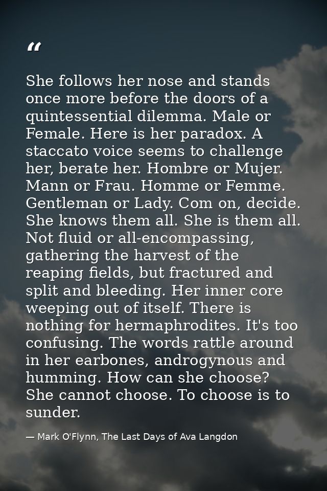 She follows her nose and stands once more before the doors of a quintessential dilemma. Male or Female. Here is her para — Mark O'Flynn, The Last Days of Ava Langdon