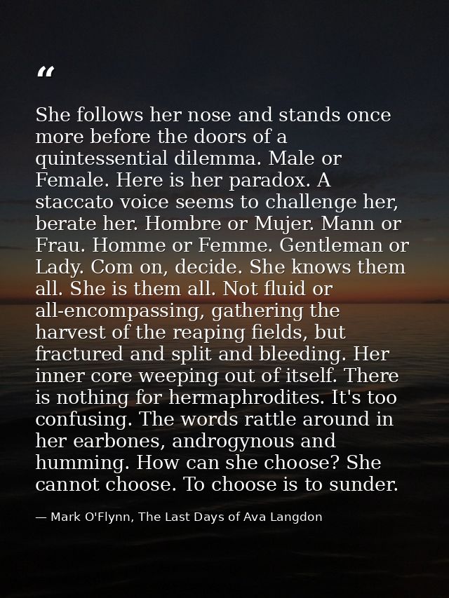 She follows her nose and stands once more before the doors of a quintessential dilemma. Male or Female. Here is her para — Mark O'Flynn, The Last Days of Ava Langdon