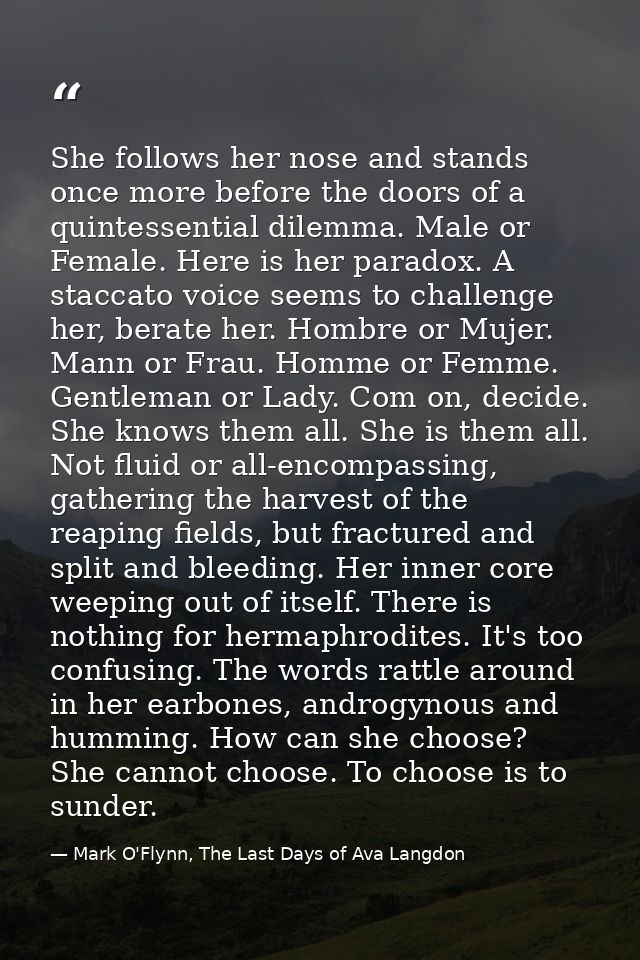 She follows her nose and stands once more before the doors of a quintessential dilemma. Male or Female. Here is her para — Mark O'Flynn, The Last Days of Ava Langdon