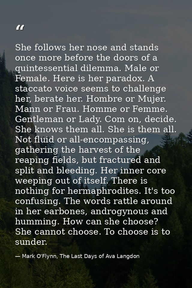 She follows her nose and stands once more before the doors of a quintessential dilemma. Male or Female. Here is her para — Mark O'Flynn, The Last Days of Ava Langdon