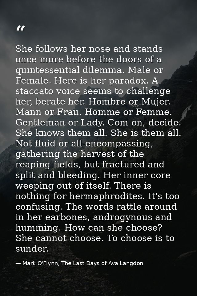 She follows her nose and stands once more before the doors of a quintessential dilemma. Male or Female. Here is her para — Mark O'Flynn, The Last Days of Ava Langdon