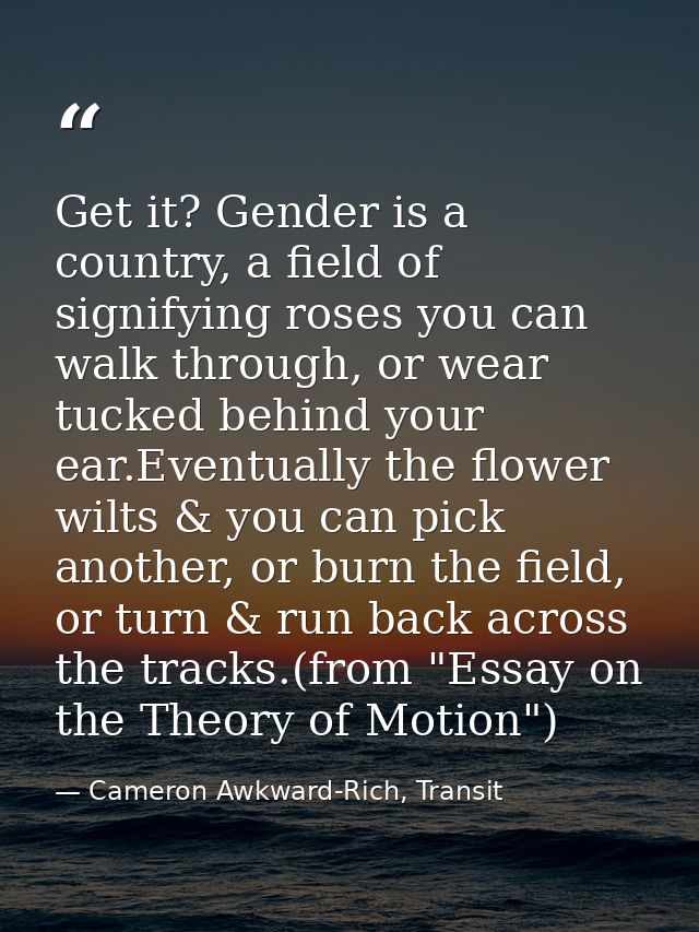 Get it? Gender is a country, a field of signifying roses you can walk through, or wear tucked behind your ear.Eventually — Cameron Awkward-Rich, Transit