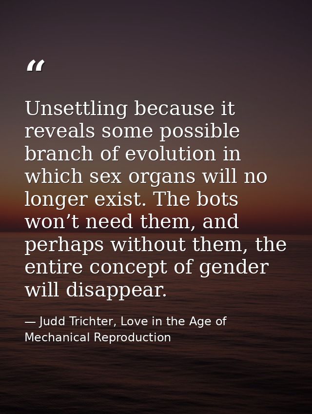 Unsettling because it reveals some possible branch of evolution in which sex organs will no longer exist. The bots won’t — Judd Trichter, Love in the Age of Mechanical Reproduction