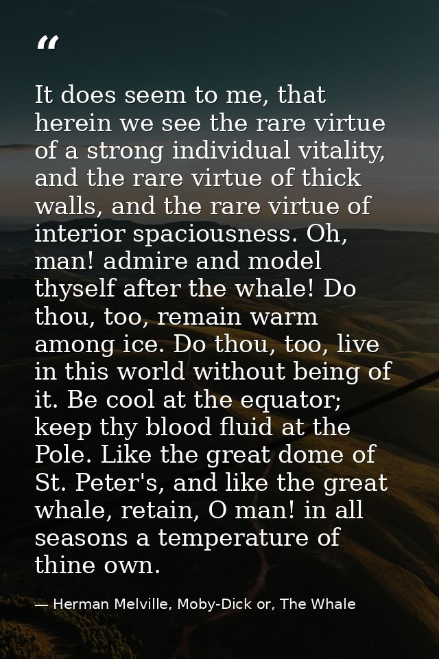 It does seem to me, that herein we see the rare virtue of a strong individual vitality, and the rare virtue of thick wal — Herman Melville, Moby-Dick or, The Whale