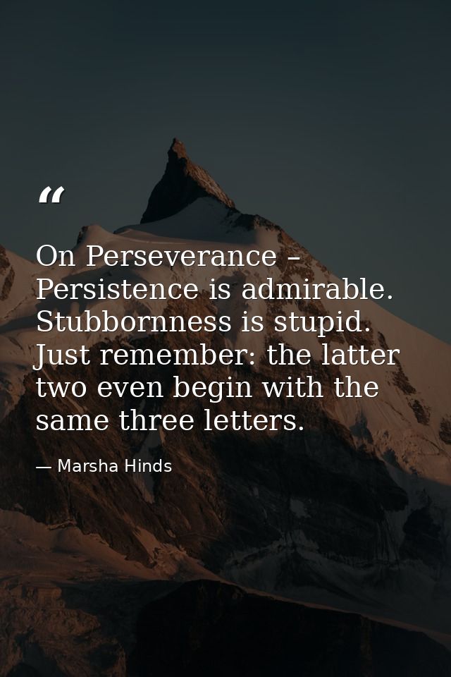 On Perseverance – Persistence is admirable. Stubbornness is stupid. Just remember: the latter two even begin with the sa — Marsha Hinds