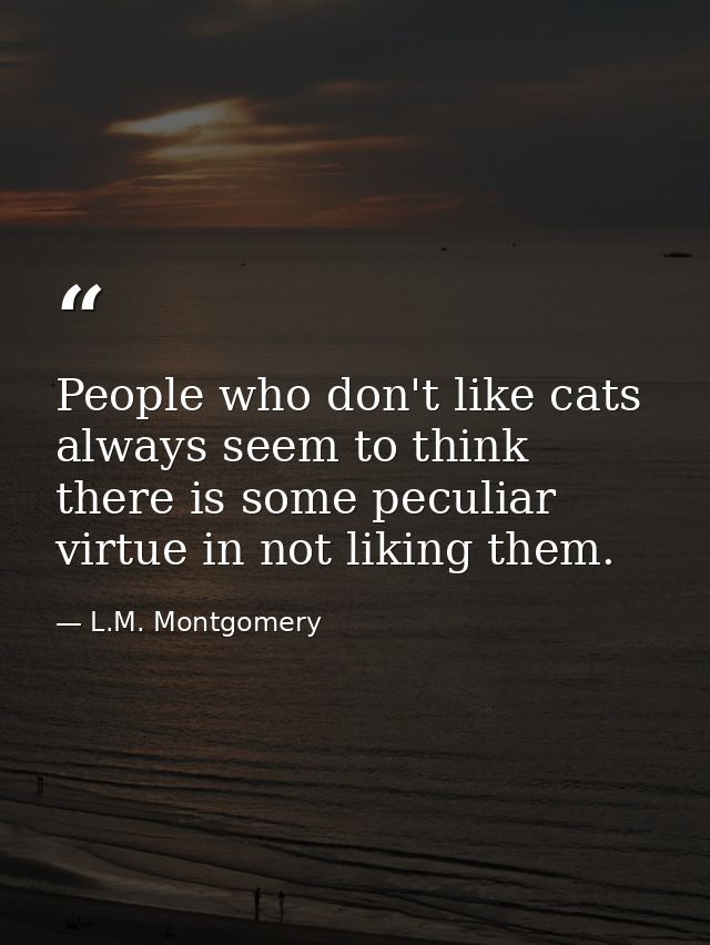 People who don't like cats always seem to think there is some peculiar virtue in not liking them. — L.M. Montgomery